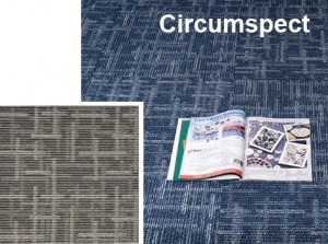001 copy1 300x223 Alfombra Modular Ciercumspect